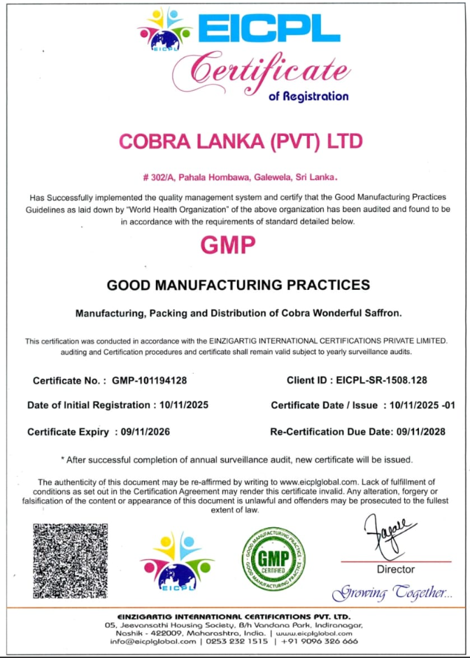 Company Certificate 1