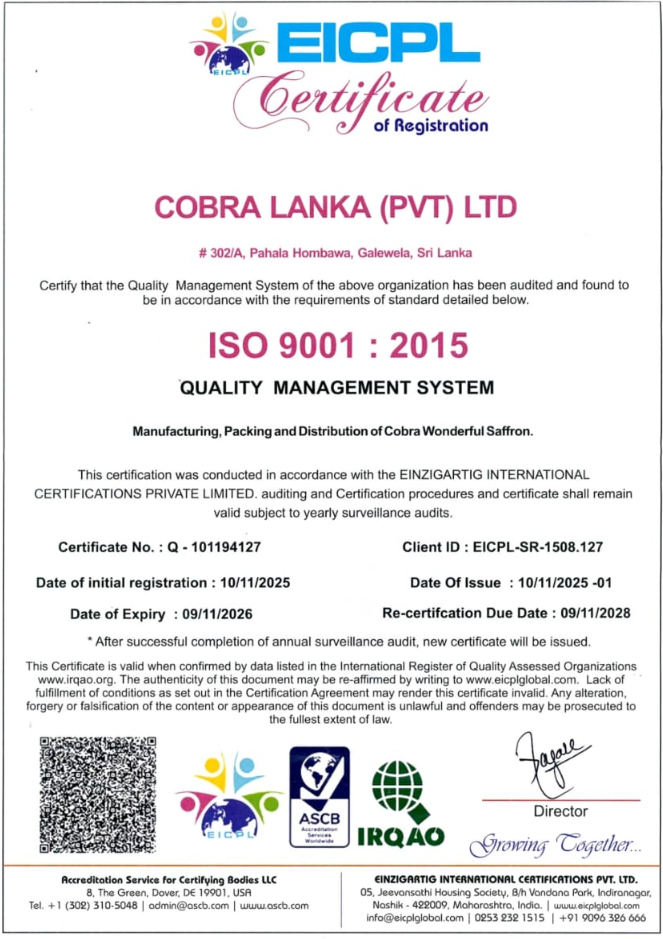 Company Certificate 2